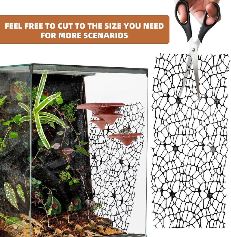 Cynailli Jumping Spider Hide Habitat Accessories, Brown Jumping Spider Enclosure Mushroom Shelf Magnetically Concealed, Jumping Spider Web with Magnets, Jumping Spider Enclosure Climbing and Feeding Platforms - Image 5